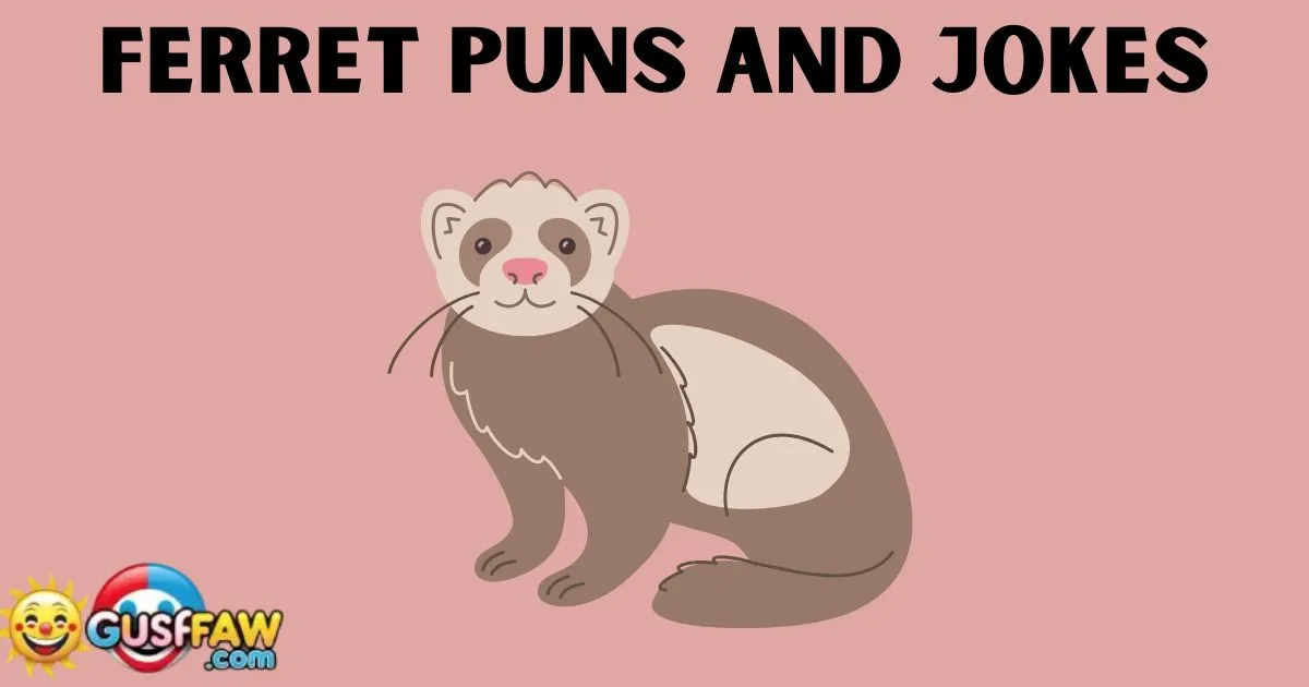 Ferret Puns and Jokes
