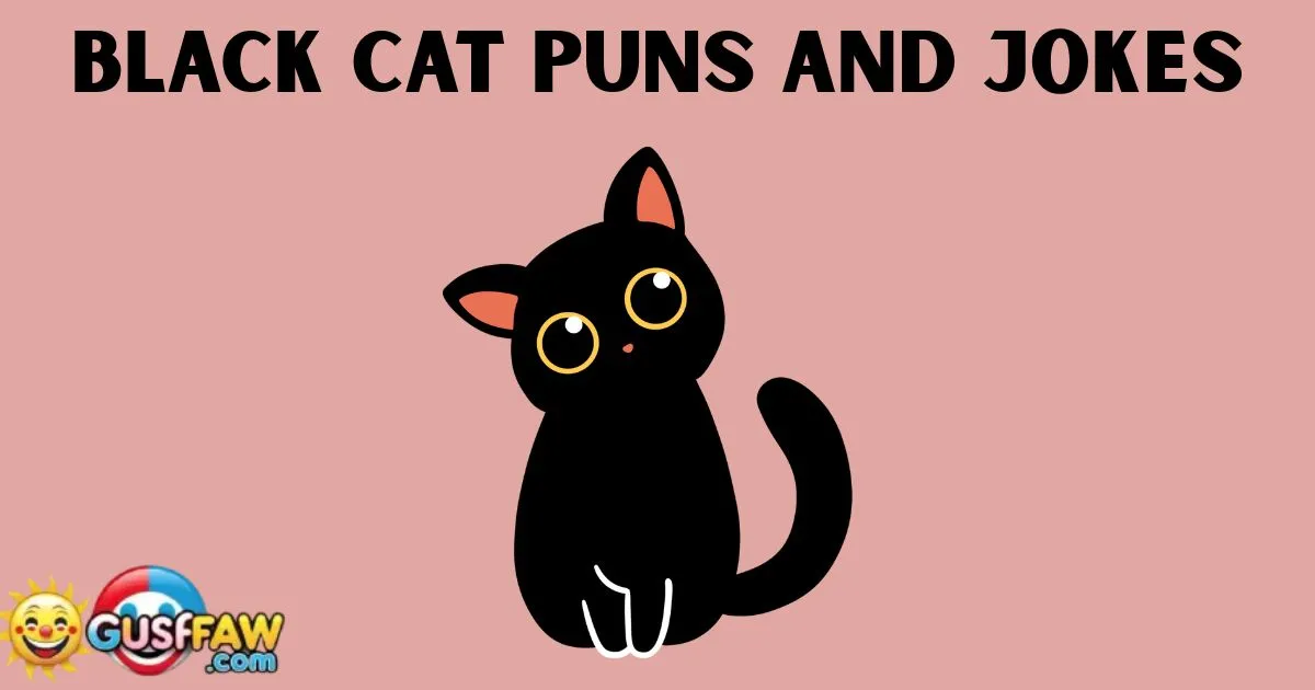 Black Cat Puns and Jokes [ Flirty, Short, And Cute,] 2025-26
